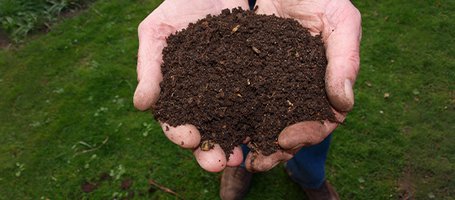 Making your own compost: the complete guide